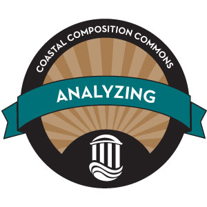 Analyzing Badge